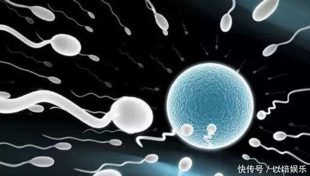 精子在女性体内存活多长时间无论是备孕还是避孕,都要了解清楚