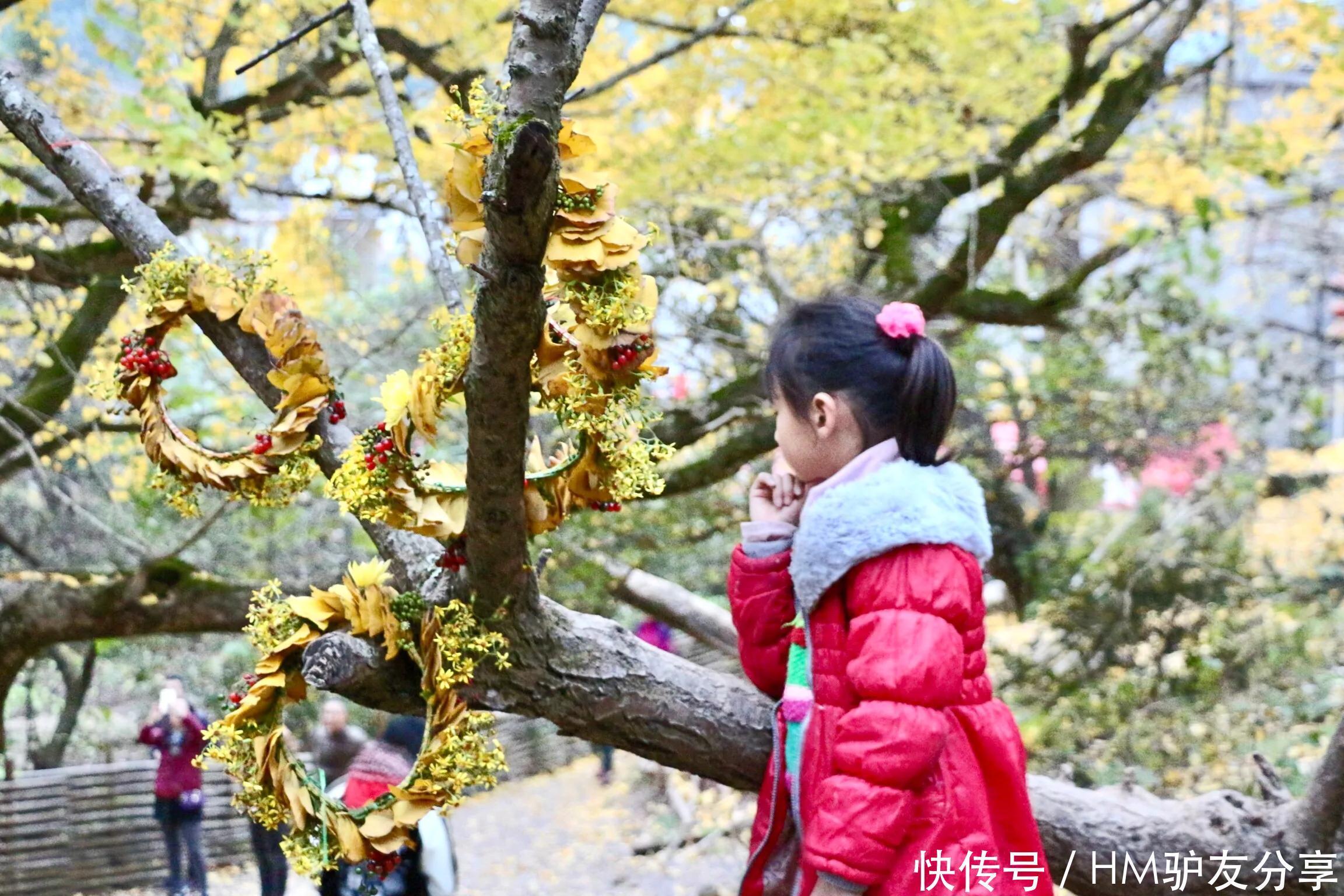 南雄|走起，到韶关南雄赏叶去