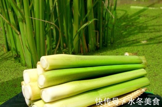 食物|工作累了记忆力不好,不妨多吃3种食物,益气健脾,增强记忆力