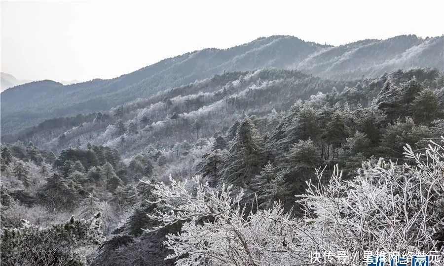 今冬|新华网报道！霍山今冬第一场雪