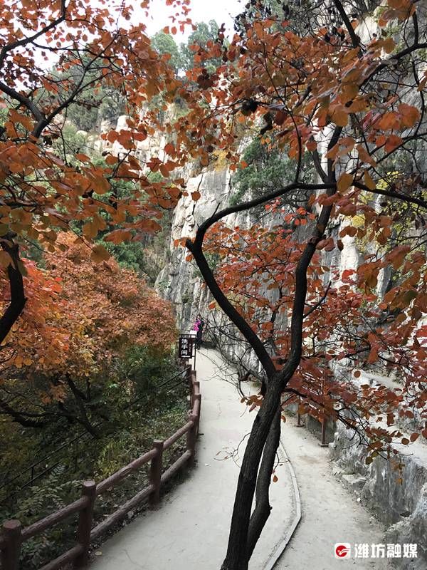 石门坊景区|夕照映红叶，不亦美哉