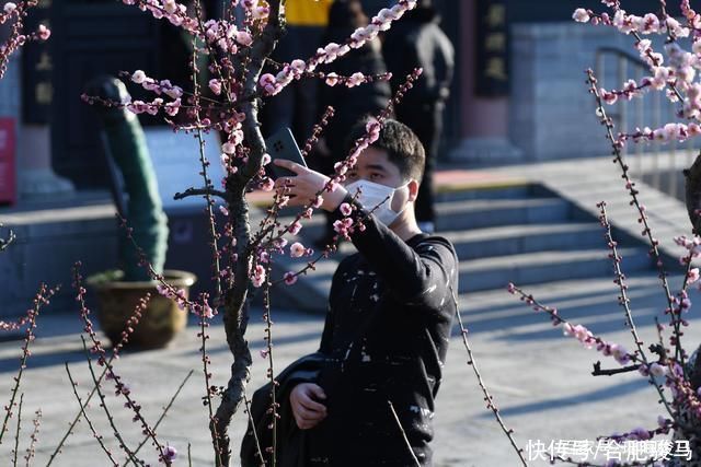 中年|大年初二，合肥包公园游客爆满，梅花盛开喜迎游客