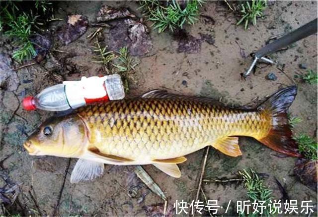 子线断裂|钓鱼时子线缠绕让人头疼,子线断裂让人懊恼,试试这样来避免吧!