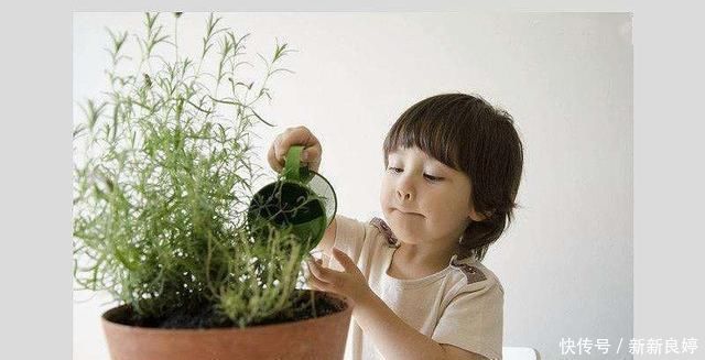 引导|表面上很机灵,实则是“假聪明”的4种孩子,需要家长正确引导