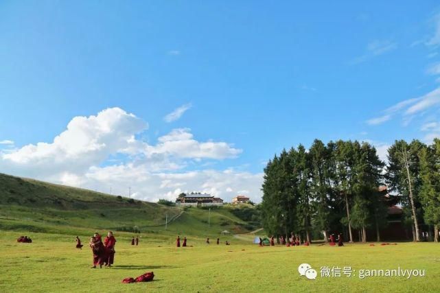 小众却出众，这才是甘南最美的旅游天路！