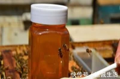 莲子|藏在身边的天然“降压药”,每天吃一点,扩张血管,血压更稳定