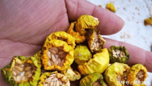 它是酒精的“天敌”，现在农村遍地都是，还不懂的话就太可惜了