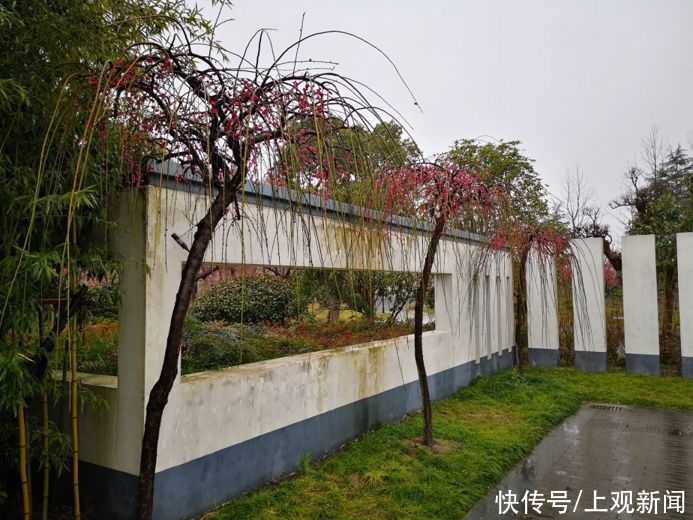 错过|快来一起赏“梅”景！去年没约成，今年别错过啦