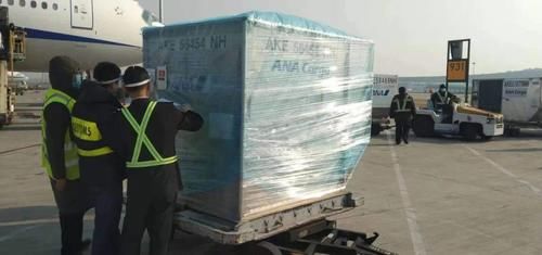 除夕夜，愿它的归来，“福”慰你的乡愁