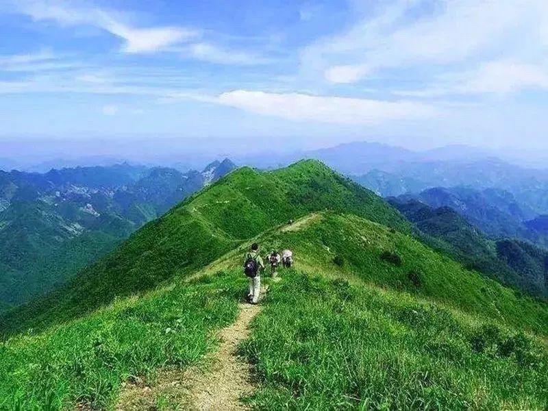 登顶|11.15 登顶搁船尖，看秋色“小武功山”，赏金色高山草甸