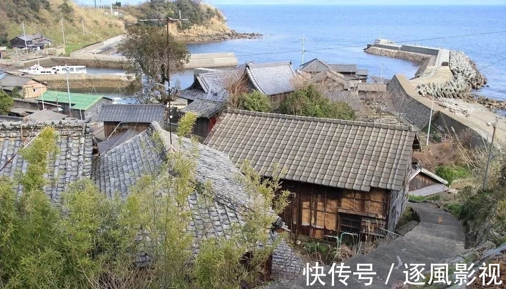 喵星人|日本怎么那么多撸猫圣地啊!