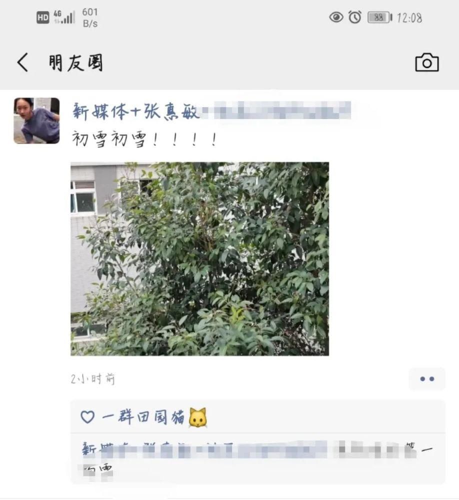 喜欢|2020年的第二场雪，记得分享给最喜欢的人看