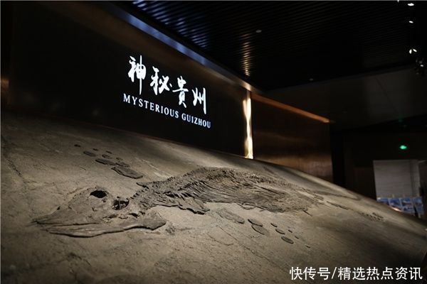 观山湖区|贵州省地质博物馆开馆并免费向公众开放