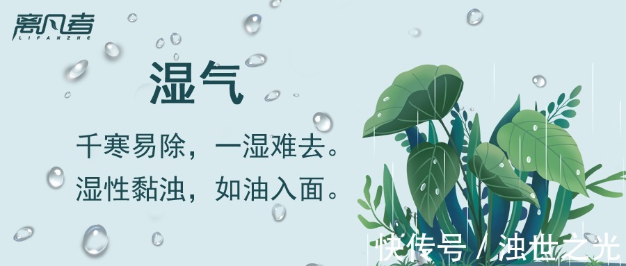 薏米红豆粥|三伏到，教您如何祛寒湿！