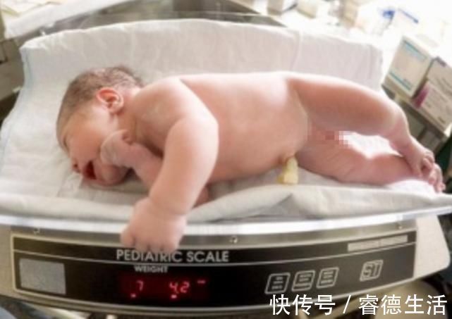 体重|新生儿身高越接近这个值,说明大脑发育得不错,爸妈可以偷着乐了