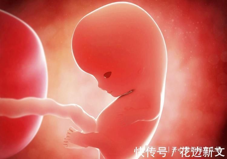 调料包|孕妇真的不能吃方便面吗?答案和我们想的略有差异:有前提条件