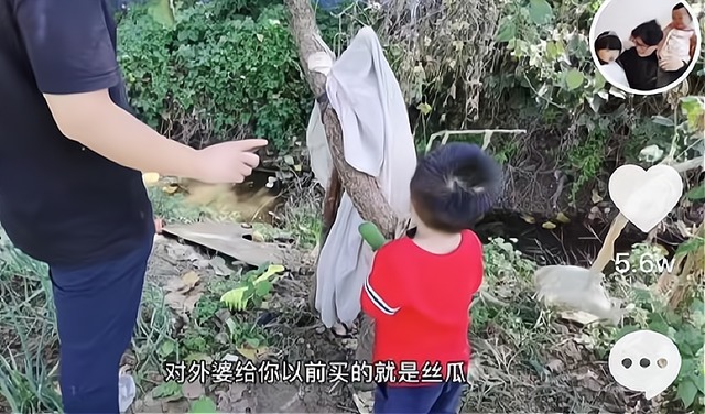 丝瓜|田静弟弟带奇奇摘丝瓜,奇奇已经认识多种蔬菜,网友:帅气的舅舅