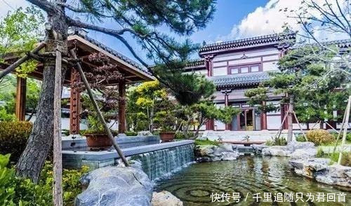 自在|院子里喝茶图个自在