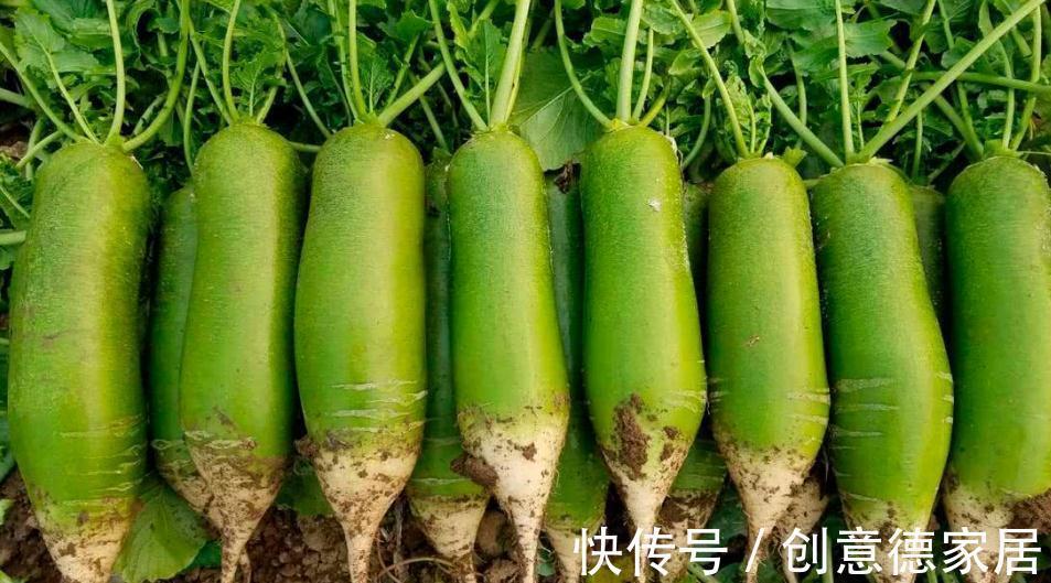 秋季|本周“霜降”,记得吃“3宝”,喝“3水”,准备温暖过冬