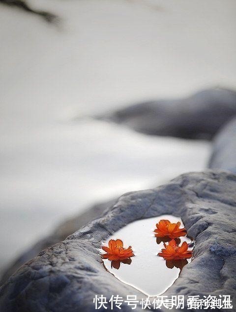 雅量#佛家一句话,胜读十年书!多读开悟才是正道