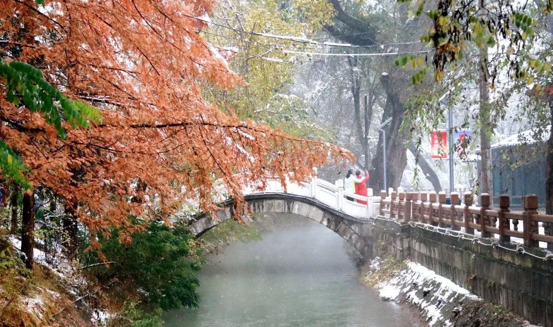 赵建民|临洮今秋第一场雪，比以往来得更早一些……