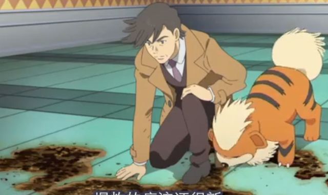 金/银|《宝可梦》奇闻趣事:游戏与动画的培育家,AR系统与阿尔宙斯!