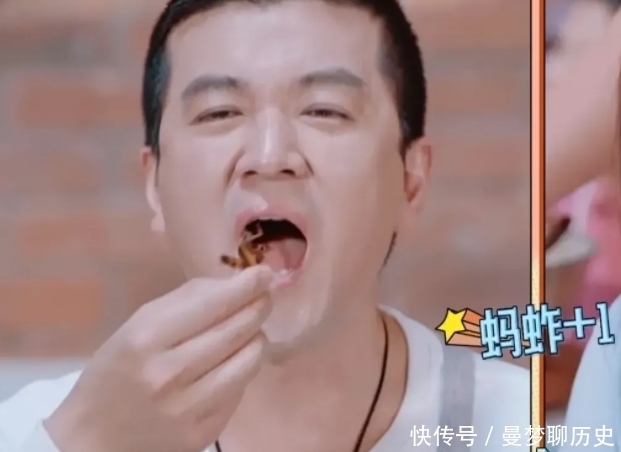 杨子|黄圣依拿出了炸蝎子、蚕蛹,杨子拿起来吃,陈松伶直接被吓哭了!