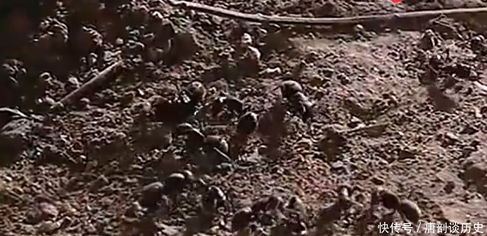 蚂蚁|溥仪生命的最后几个月里，在家哪也不去，只爱玩这种游戏