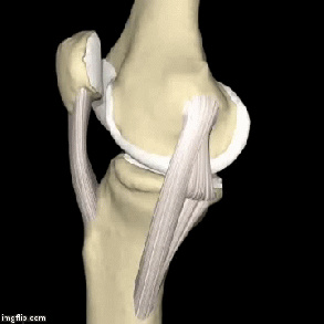 膝关节|上下楼弯腿时膝盖痛是什么原因，如何摆脱疼痛？请看此文