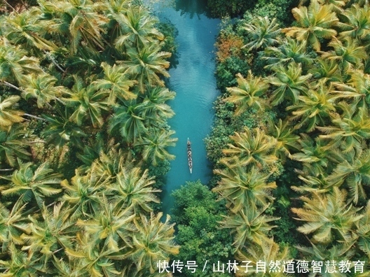 山林子自然道德智慧教育心语(54)谈大学的首要任务