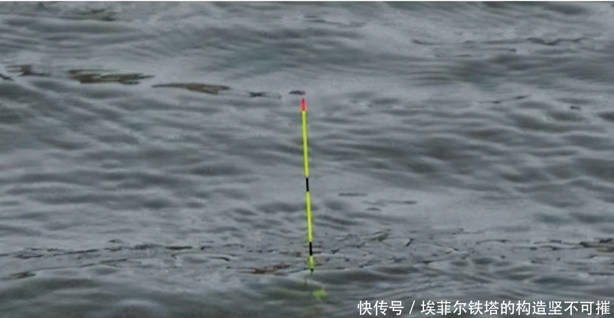 鱼口杂乱无实口,调低钓高这么调,马上竿竿都是死口