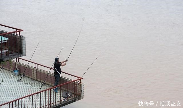 内河|城市内河的秘密!吃货们请管住嘴!垂钓的野生鱼最好不要食用