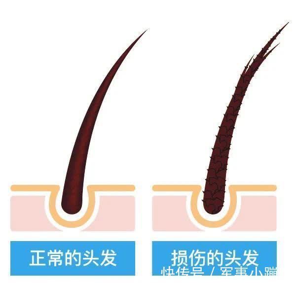 头发自然干和吹干,哪个更好?很多人都搞错了