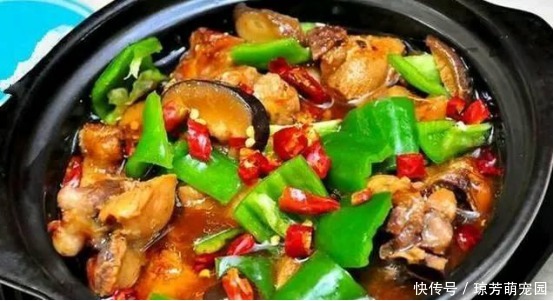 厨艺|每次都吃光的几道家常菜,简单快手又实惠,妈妈的厨艺百吃不厌