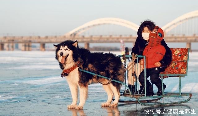 小伙网购东北冻梨，试吃后表示很失望，看到吃法后东北人已笑趴