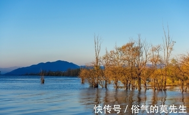 赏心亭#陆游初秋时登亭远眺,创作了一首七律,沉郁悲壮,又跌宕起伏