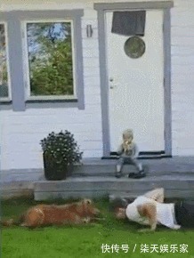 长时间|长时间健身却没效果你可能只差一条狗!