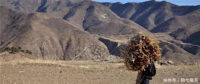 微小|微小说《看病》