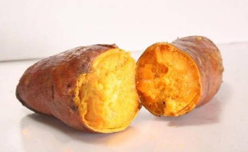 性命|父子冒着丢掉性命的风险,从国外带回一件宝物,救活了无数中国人