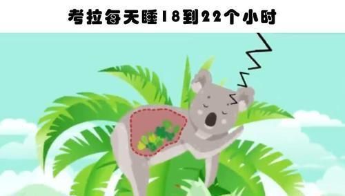 自动扶梯|你不大可能在教科书里见到的10个有趣的冷知识