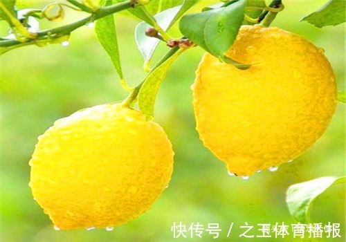 女性|女性不想子宫“脏脏的”，多吃以下食物，排出毒素，滋养女性子宫