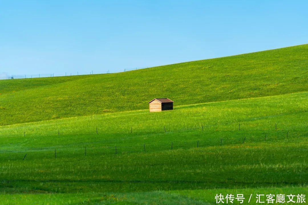 樟子松|这个夏天，我劝你一定要去一次内蒙古 ！