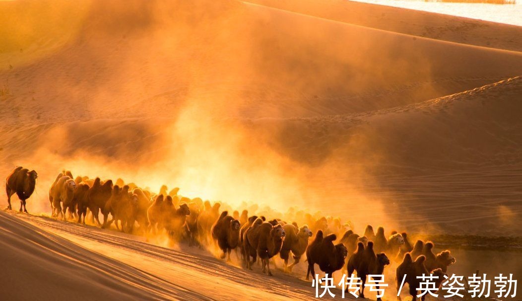 scate:tttttttttt#范仲淹的这首词,开篇便是名句,道尽了秋天的美