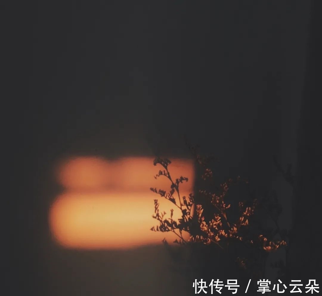 余秀华#木心的冬日情诗,好温柔!