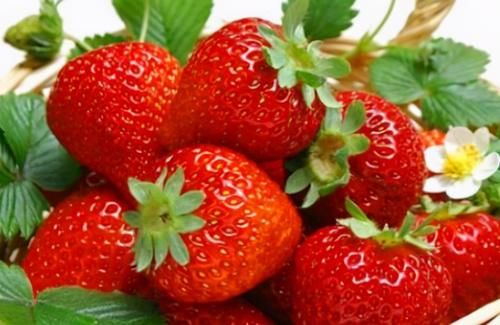 对身体很好的3种养生食物，坚持每天吃一些，美容养颜、滋润身体