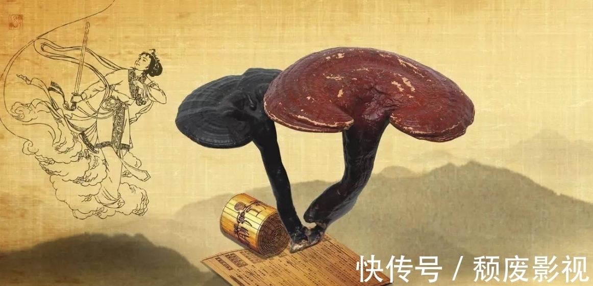 芹菜|一天一把芹菜,43岁女子因失眠住院,医生:无知,神经已“千疮百孔”