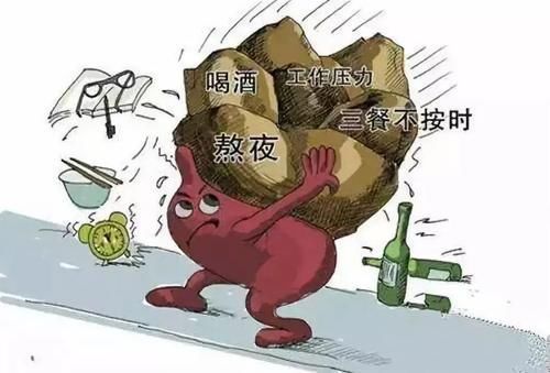 一日三餐|从萎缩胃炎到胃功能正常,用了3个月,真实经验:4件事值得借鉴