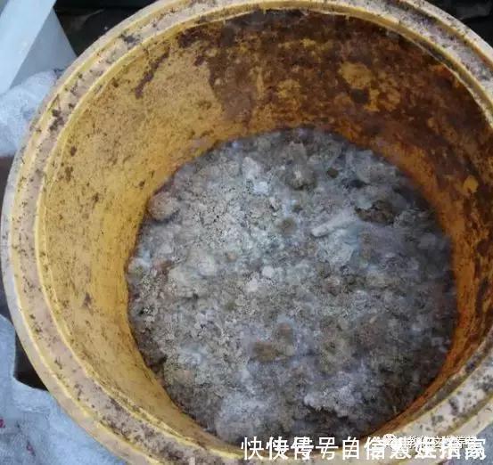 脱盐|这2种“壳”丢了太可惜,埋花土里3年不板结,种什么花都旺!