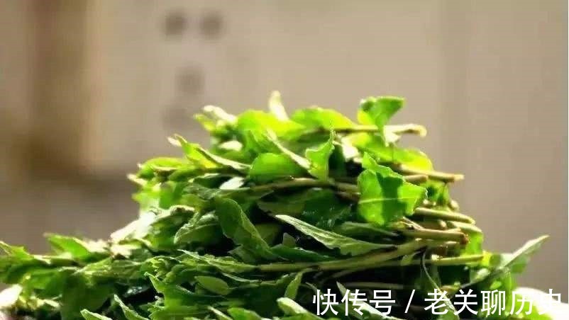 枸杞叶|女性想要皮肤好，坚持食用这些食物，排毒消脂，美容护肤