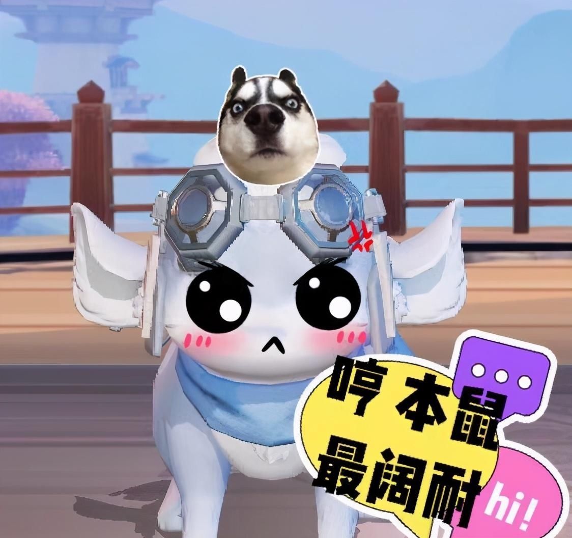 迷惑|梦幻西游三维版：三界添新衣新坐骑，少侠们又开启了迷惑大赏